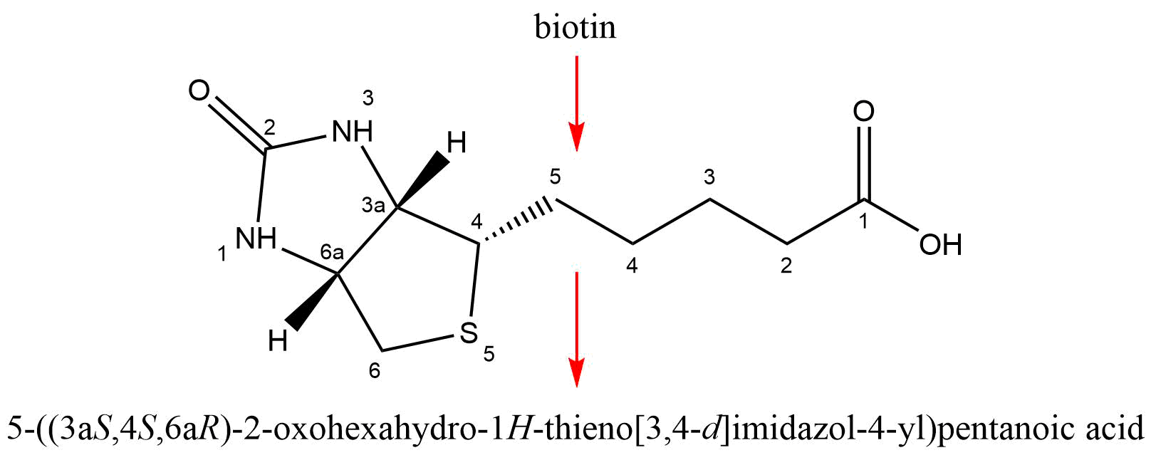 Molécula de Biotina numerada y nombre obtenido a través de esta estructura